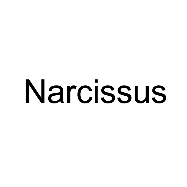 『Narcissus』ZOZOTOWNショップイメージ